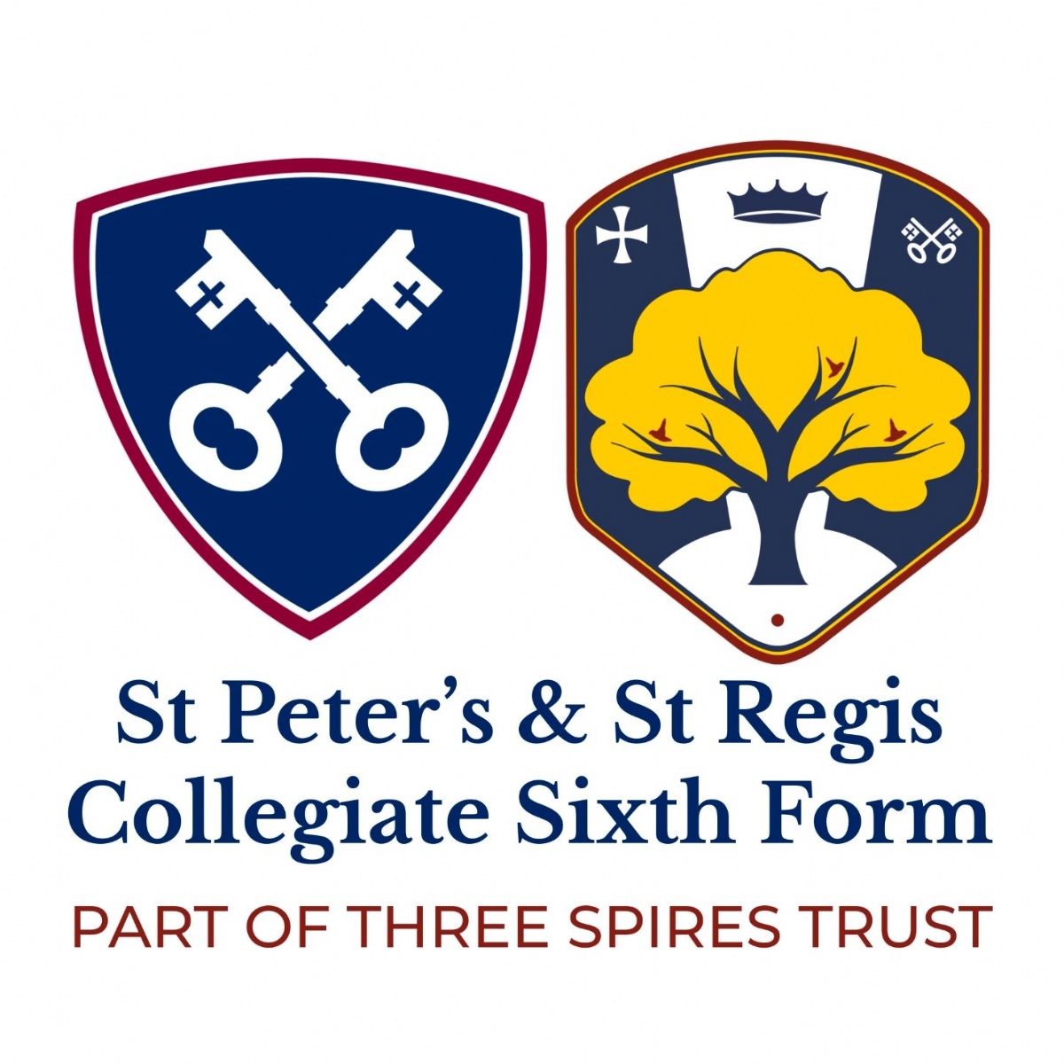 St Peters Collegiate Academy Year 12 Application